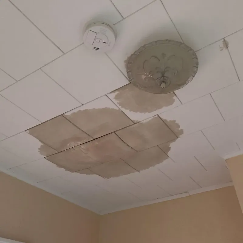 Ceiling Water Damage Repair in Herington, KS