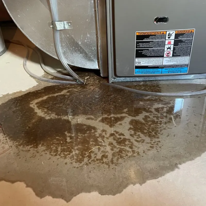 Pipe Burst and Leak Restoration in Herington, KS