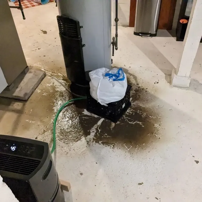 Sewage Backup Cleanup Service in Herington, KS